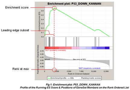 Enrichment plot provides a graphical view of the enrichment score for a gene set.